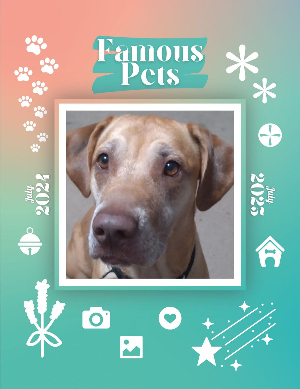 Famous Pets: July 2024-July 2025 Wall Calendar (Pre-Order)