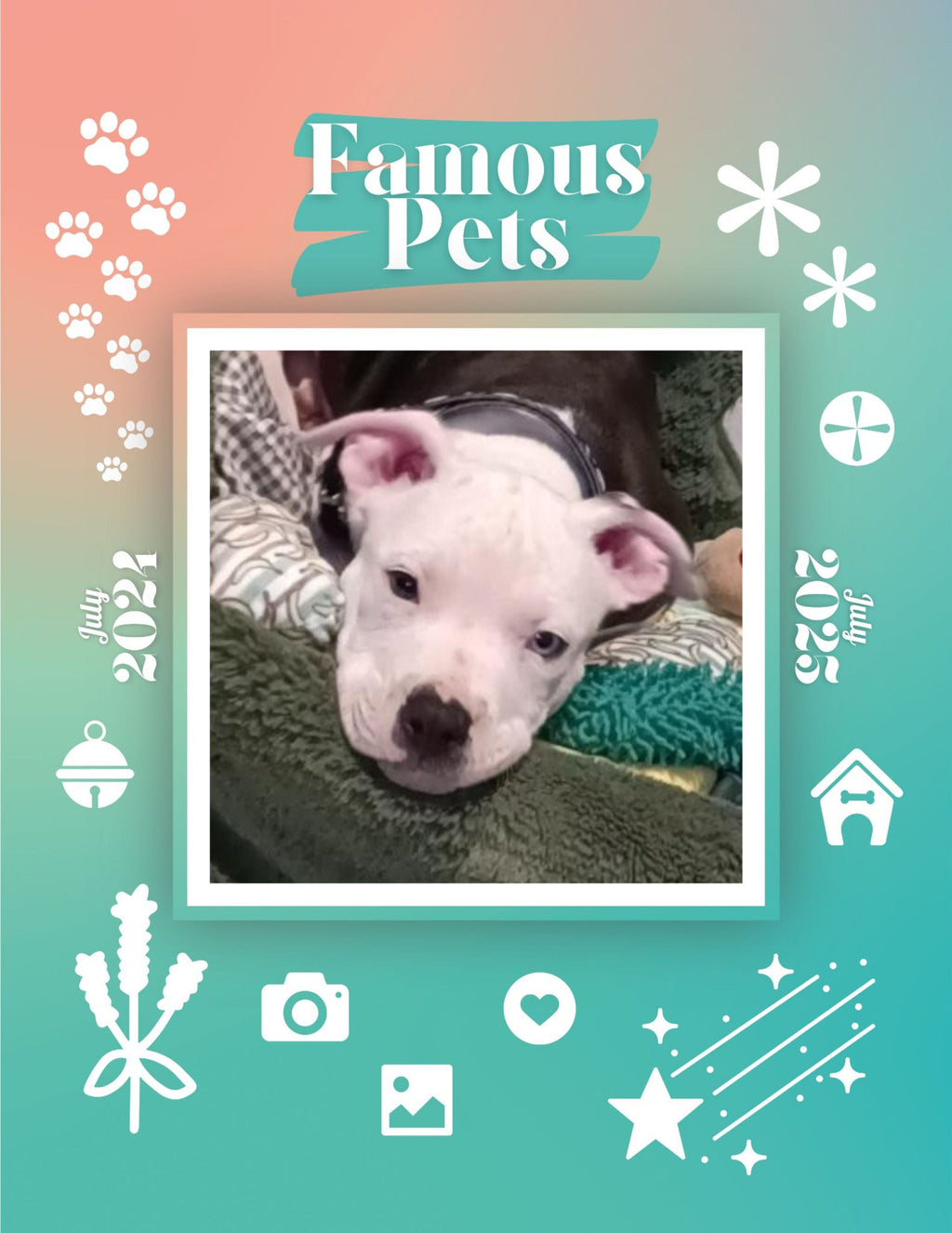 Famous Pets: July 2024-July 2025 Wall Calendar (Pre-Order)