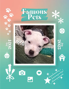 Famous Pets: July 2024-July 2025 Wall Calendar (Pre-Order)