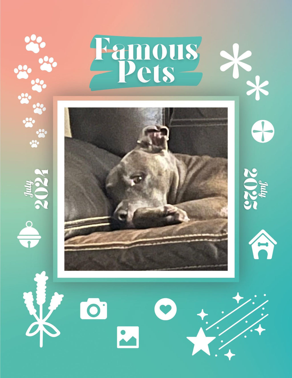 Famous Pets: July 2024-July 2025 Wall Calendar (Pre-Order)