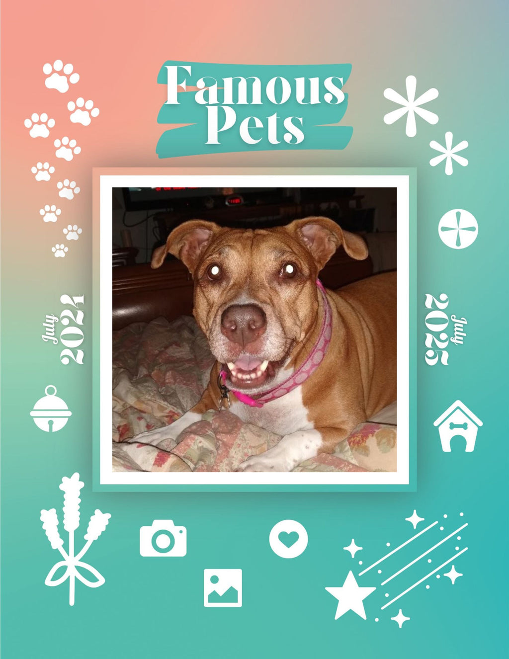 Famous Pets: July 2024-July 2025 Wall Calendar (Pre-Order)