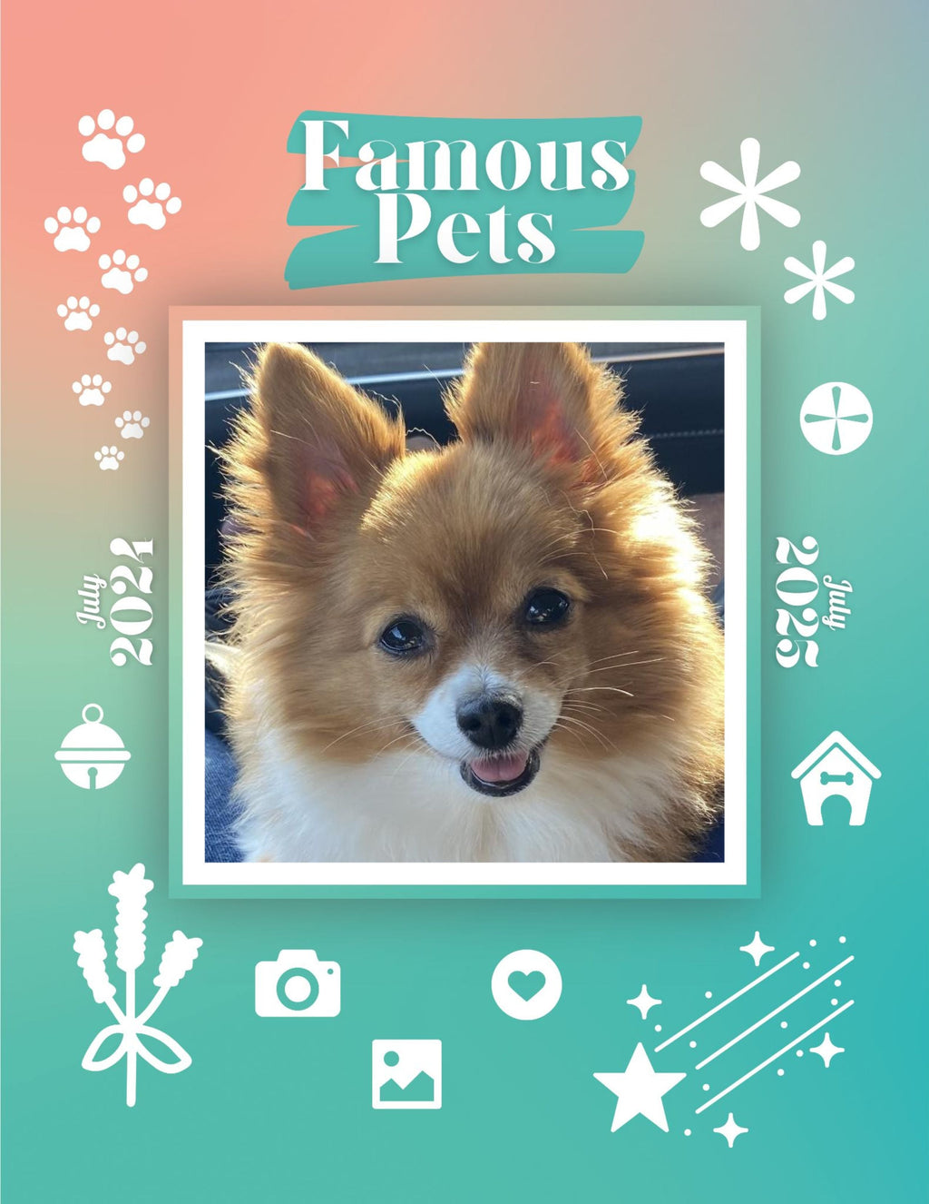 Famous Pets: July 2024-July 2025 Wall Calendar (Pre-Order)