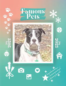 Famous Pets: July 2024-July 2025 Wall Calendar (Pre-Order)