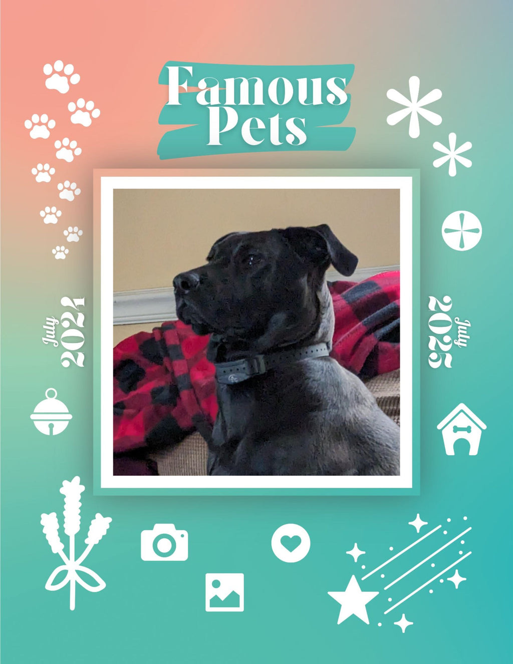 Famous Pets: July 2024-July 2025 Wall Calendar (Pre-Order)