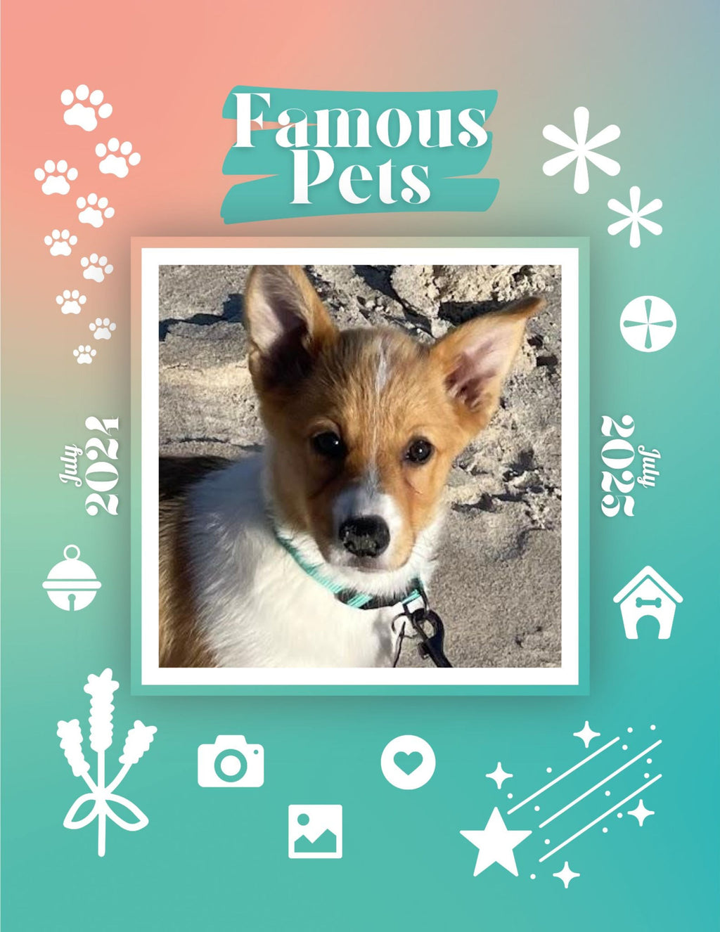 Famous Pets: July 2024-July 2025 Wall Calendar (Pre-Order)