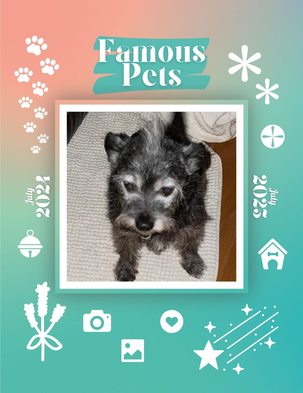 Famous Pets: July 2024-July 2025 Wall Calendar (Pre-Order)