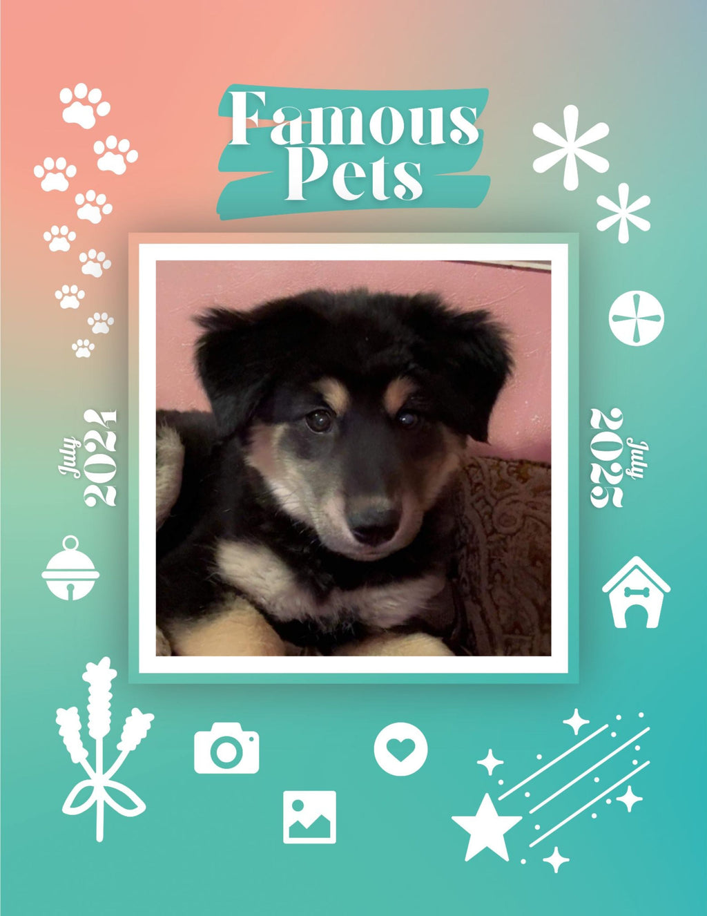 Famous Pets: July 2024-July 2025 Wall Calendar (Pre-Order)