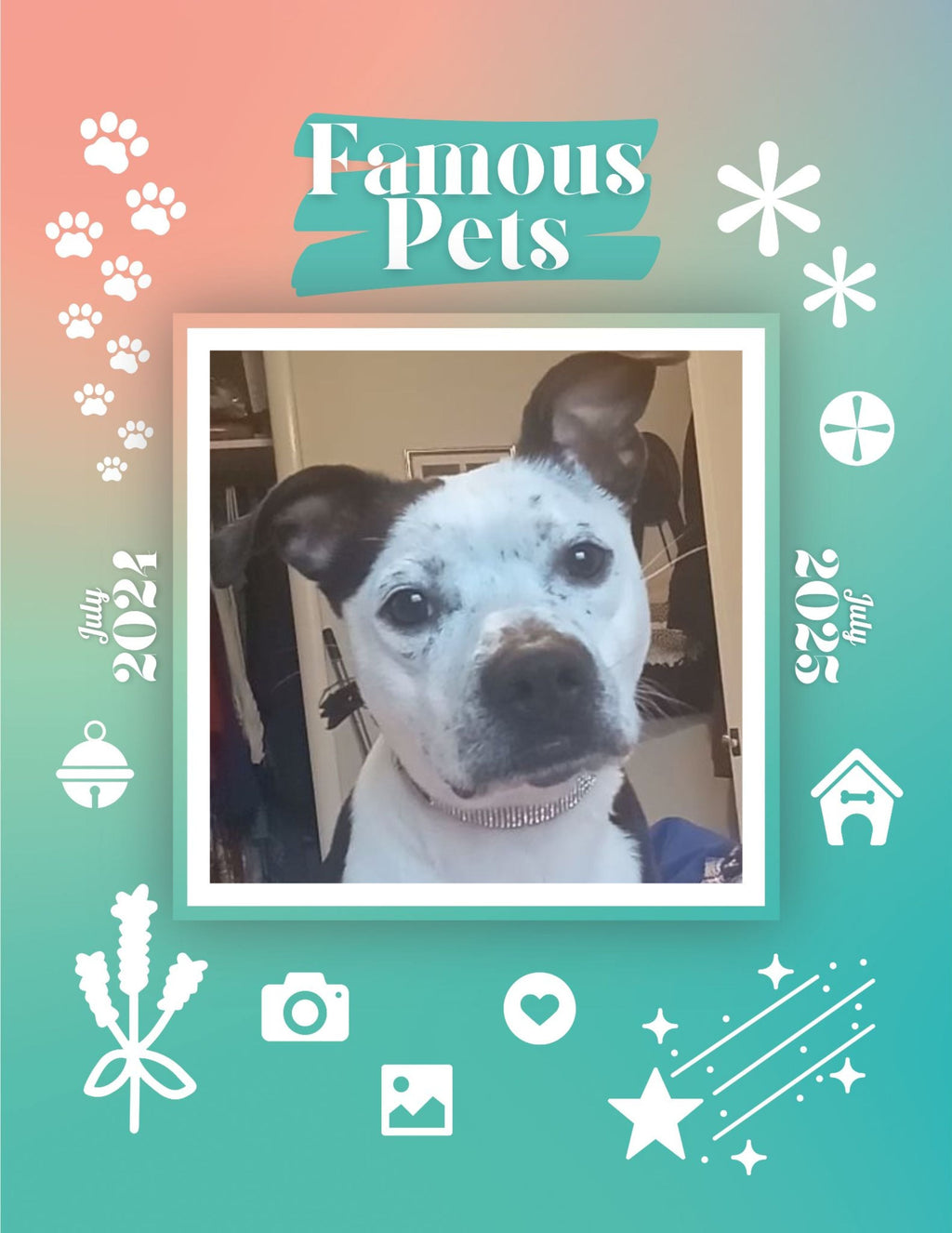 Famous Pets: July 2024-July 2025 Wall Calendar (Pre-Order)