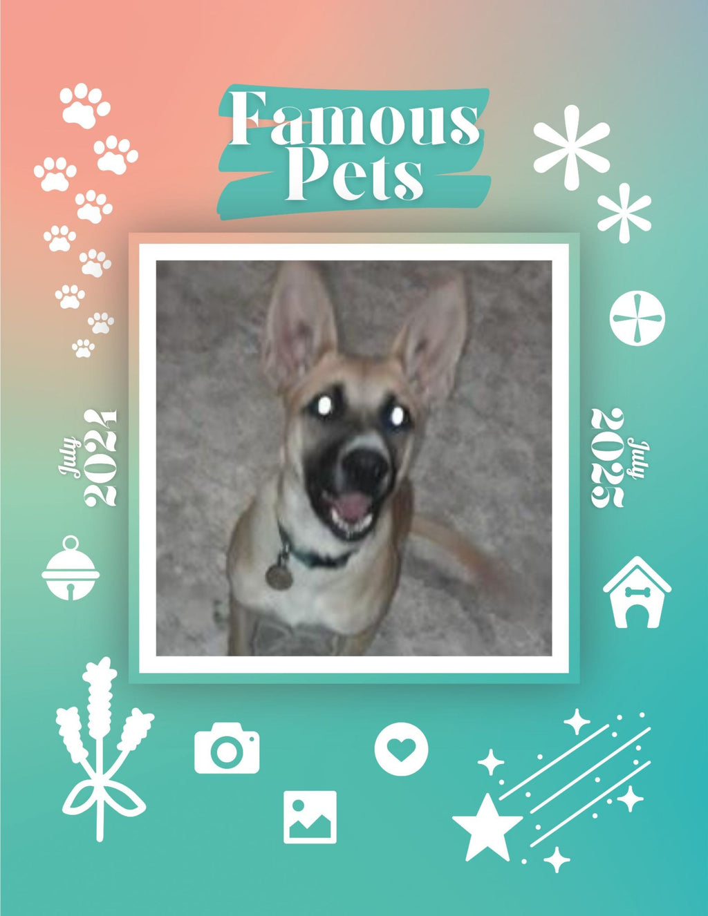 Famous Pets: July 2024-July 2025 Wall Calendar (Pre-Order)