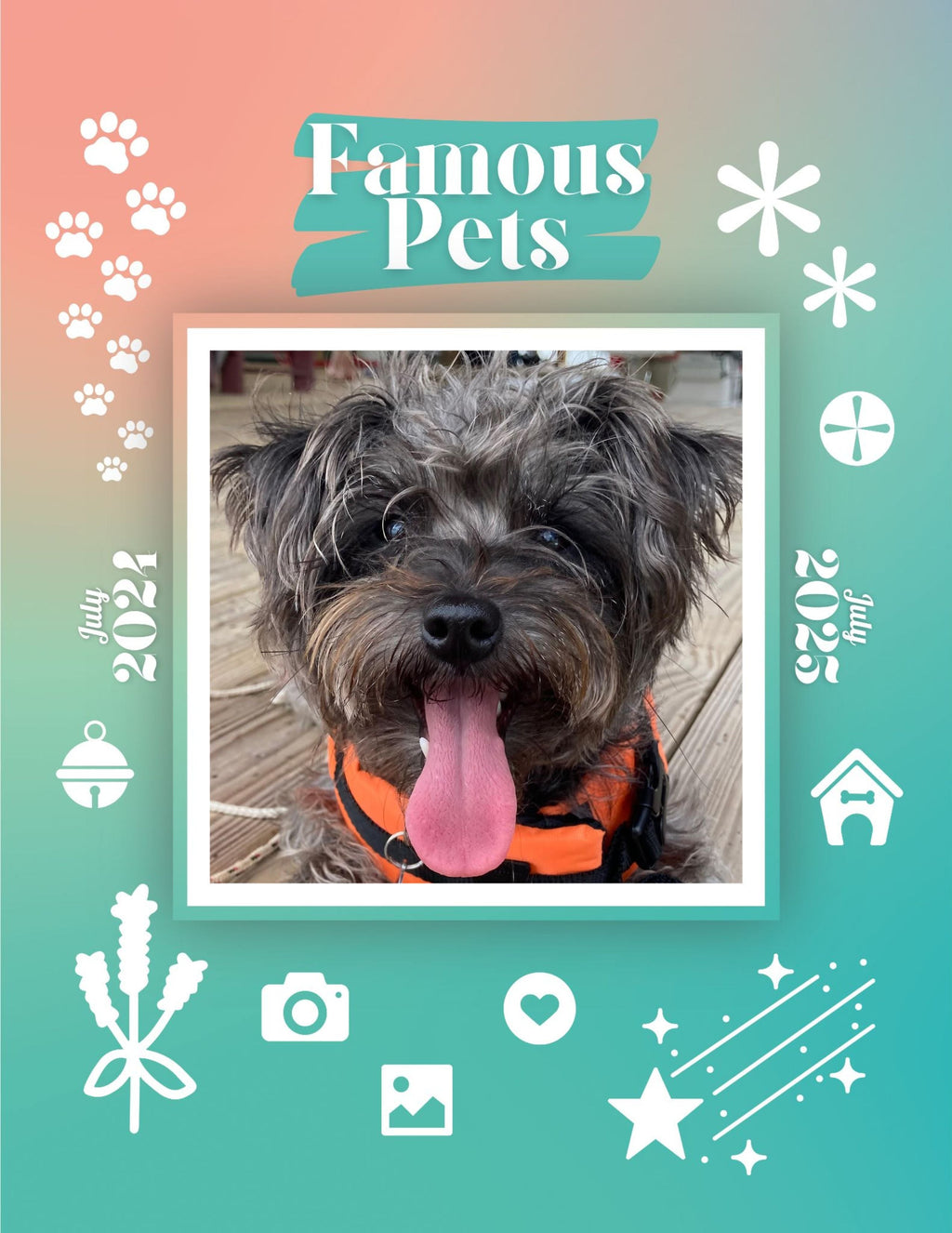 Famous Pets: July 2024-July 2025 Wall Calendar (Pre-Order)