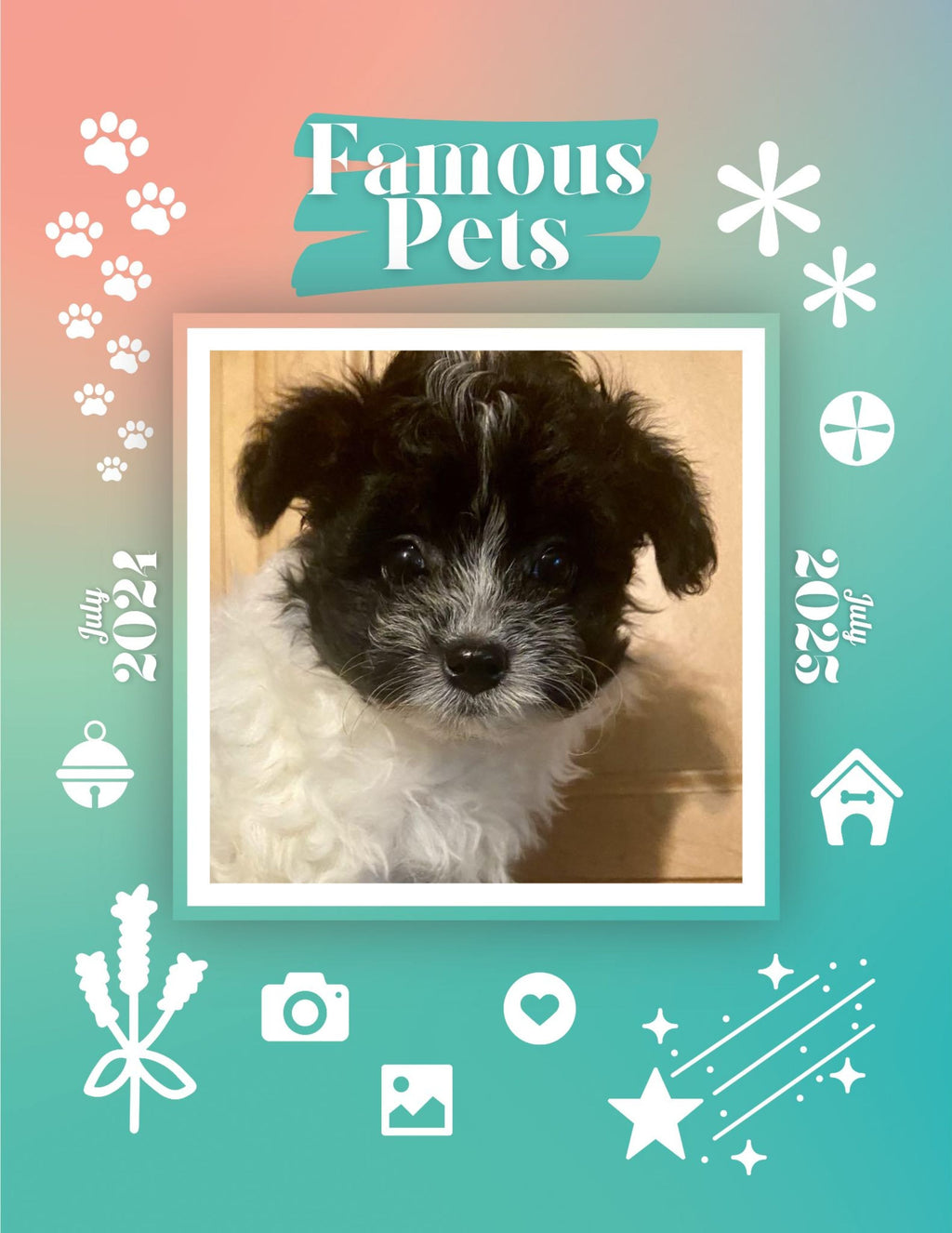 Famous Pets: July 2024-July 2025 Wall Calendar (Pre-Order)