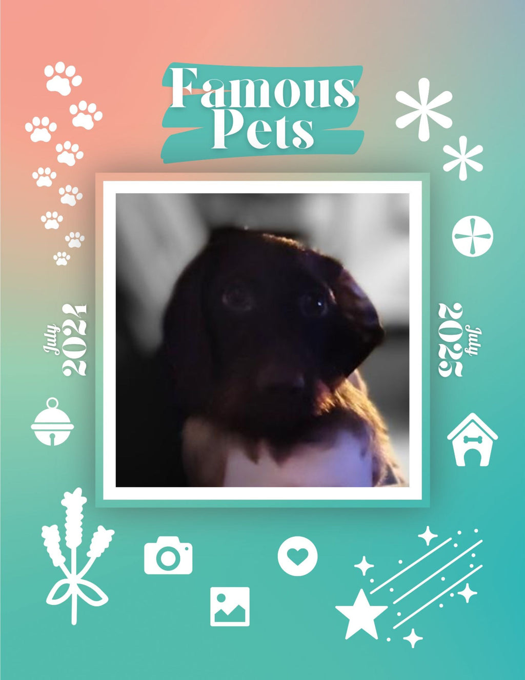 Famous Pets: July 2024-July 2025 Wall Calendar (Pre-Order)