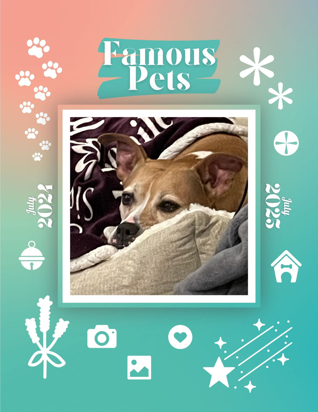 Famous Pets: July 2024-July 2025 Wall Calendar (Pre-Order)