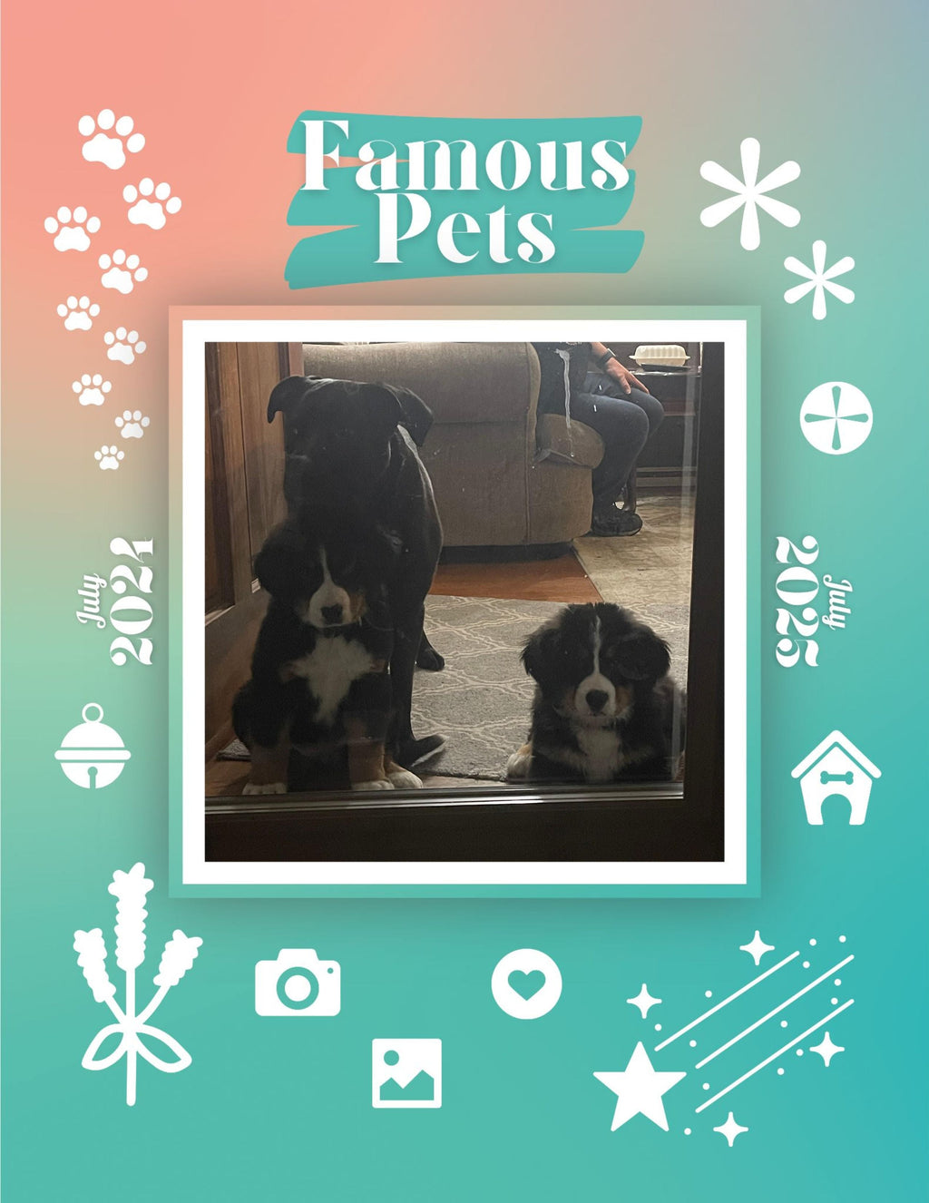 Famous Pets: July 2024-July 2025 Wall Calendar (Pre-Order)