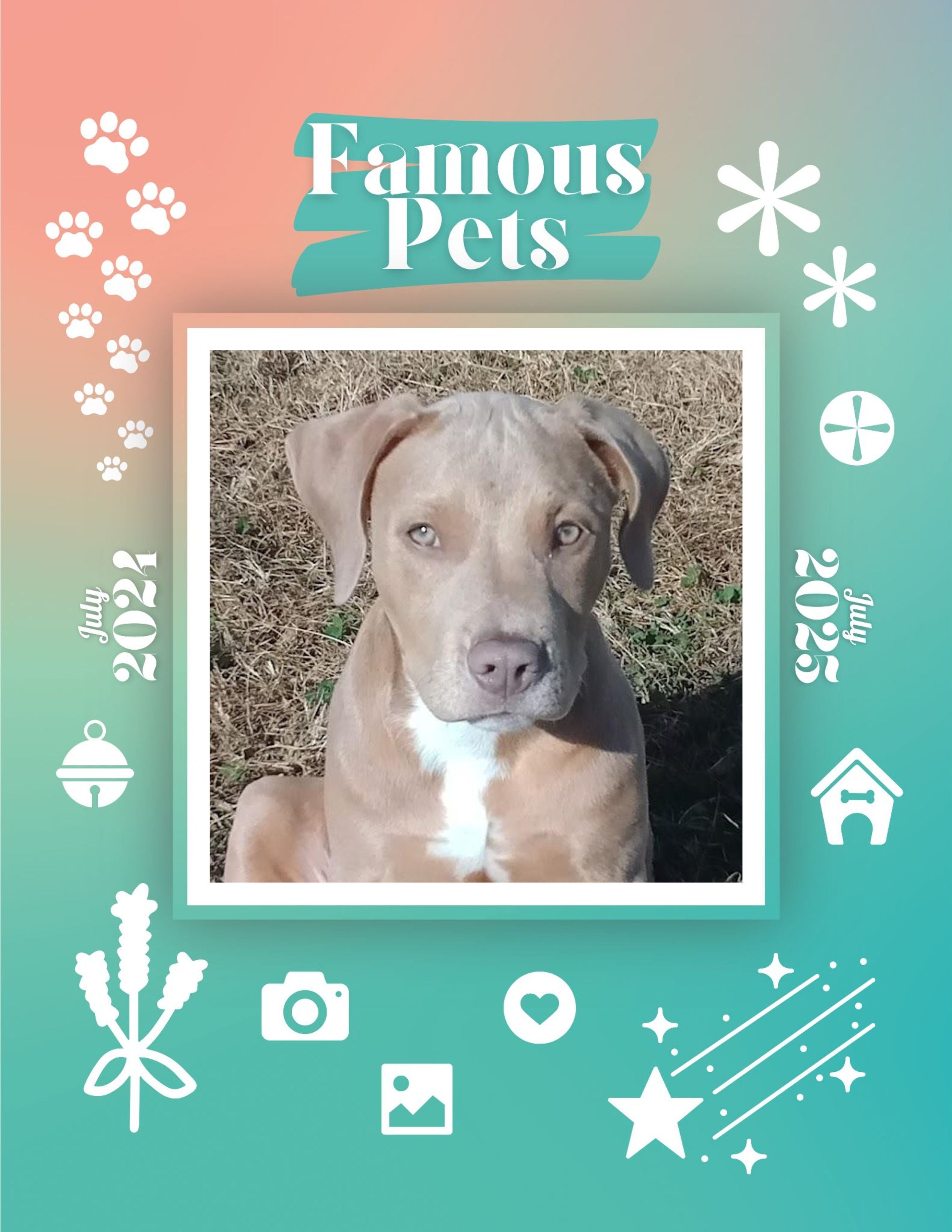 Famous Pets: July 2024-July 2025 Wall Calendar (Pre-Order)