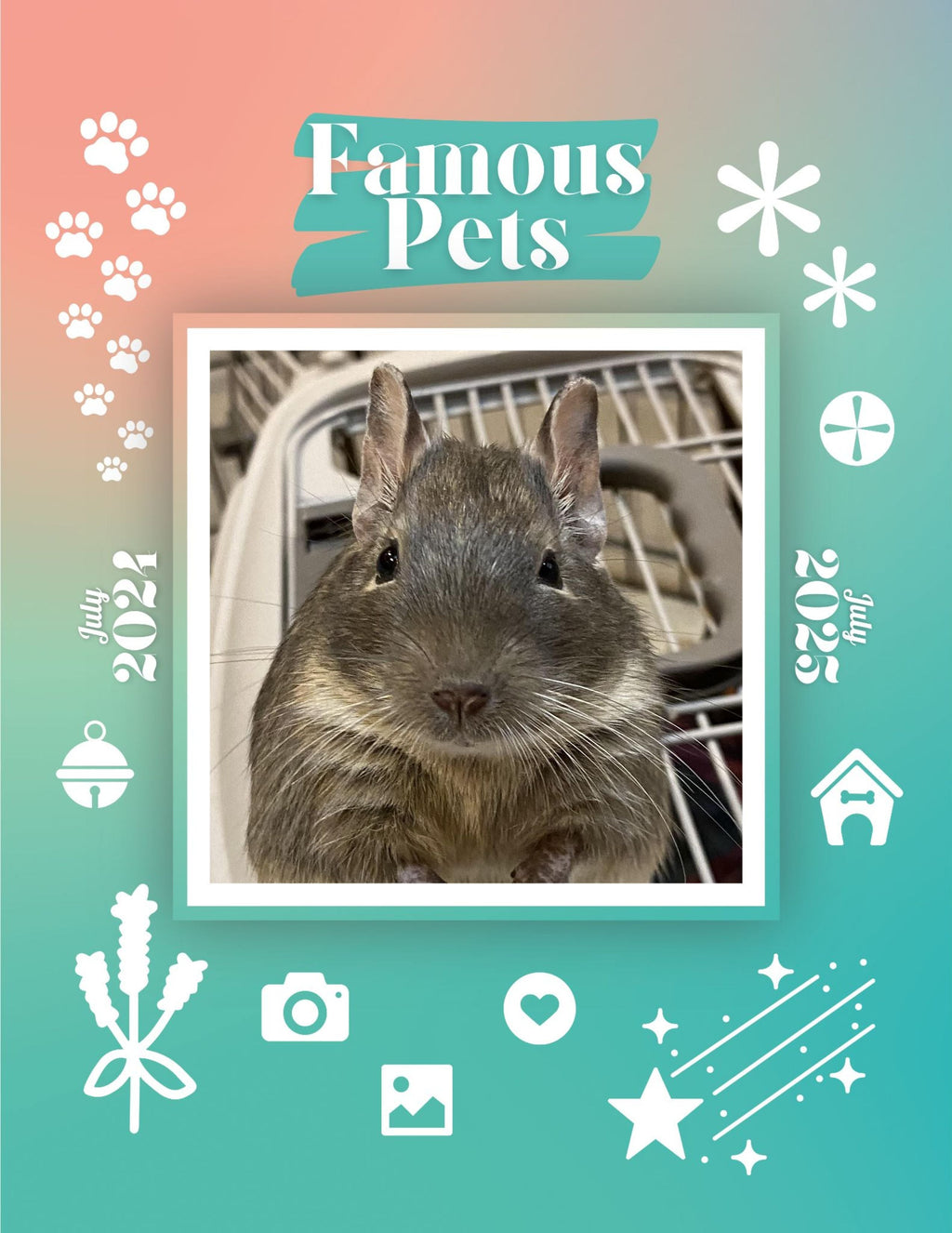 Famous Pets: July 2024-July 2025 Wall Calendar (Pre-Order)