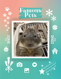 Famous Pets: July 2024-July 2025 Wall Calendar (Pre-Order)