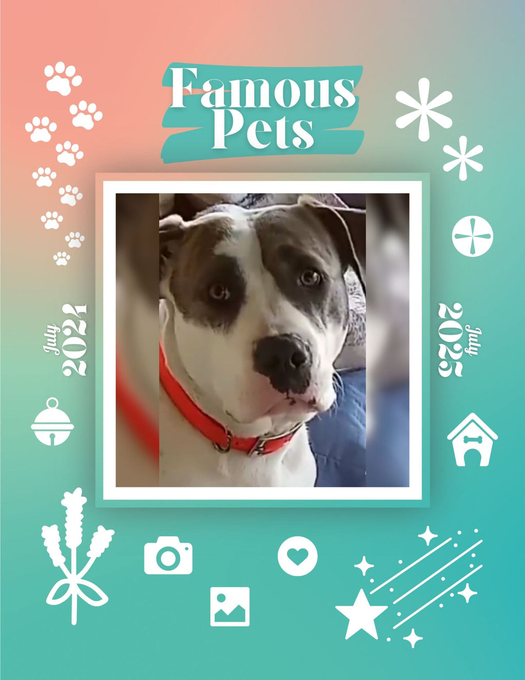 Famous Pets: July 2024-July 2025 Wall Calendar (Pre-Order)
