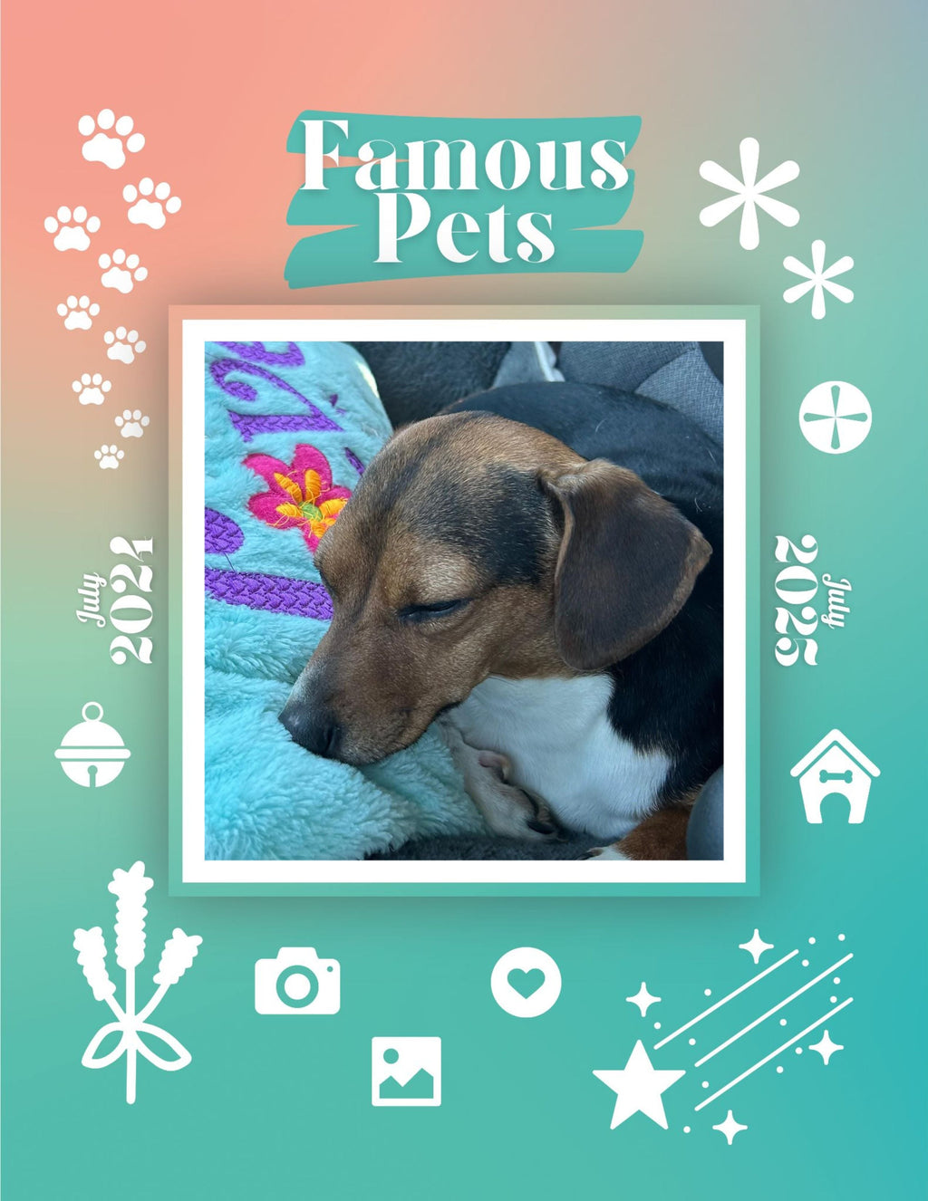 Famous Pets: July 2024-July 2025 Wall Calendar (Pre-Order)