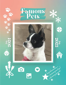Famous Pets: July 2024-July 2025 Wall Calendar (Pre-Order)