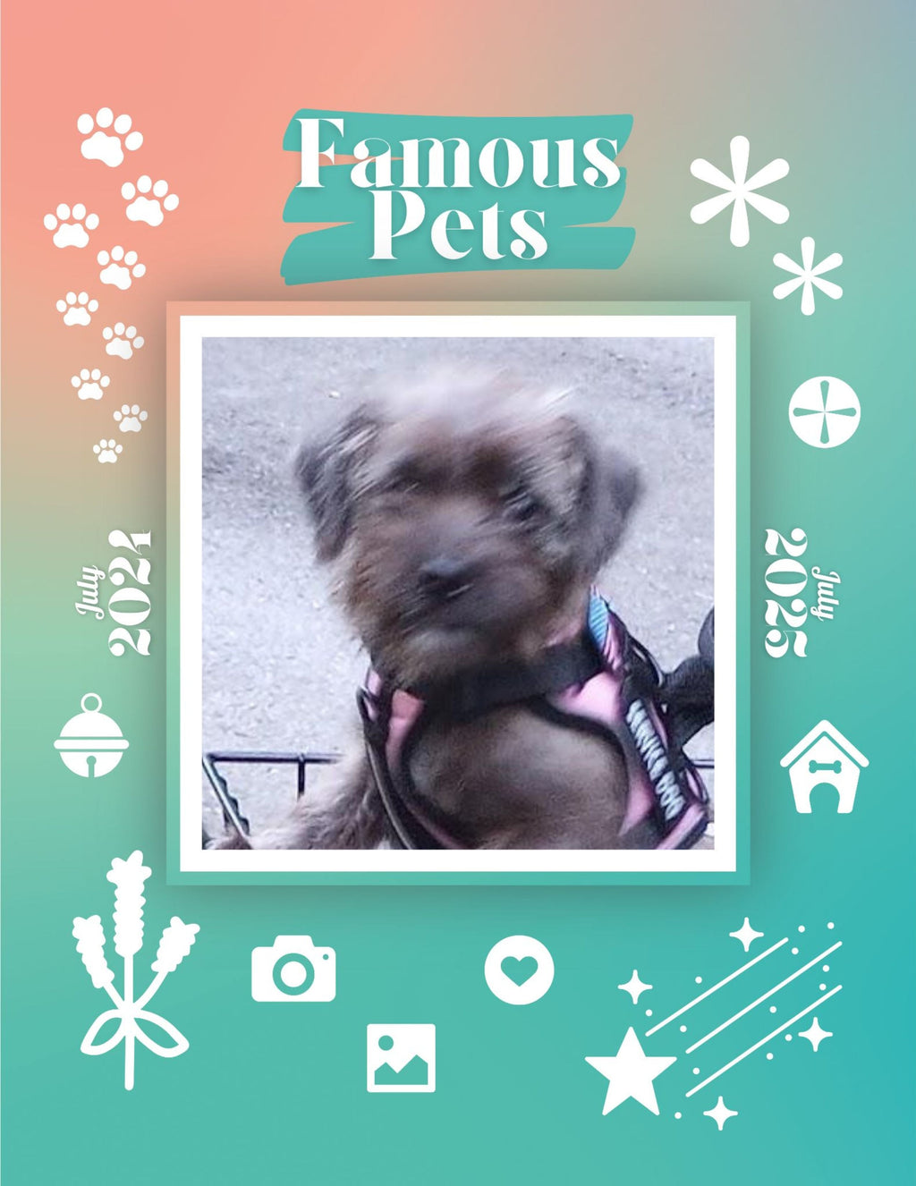 Famous Pets: July 2024-July 2025 Wall Calendar (Pre-Order)