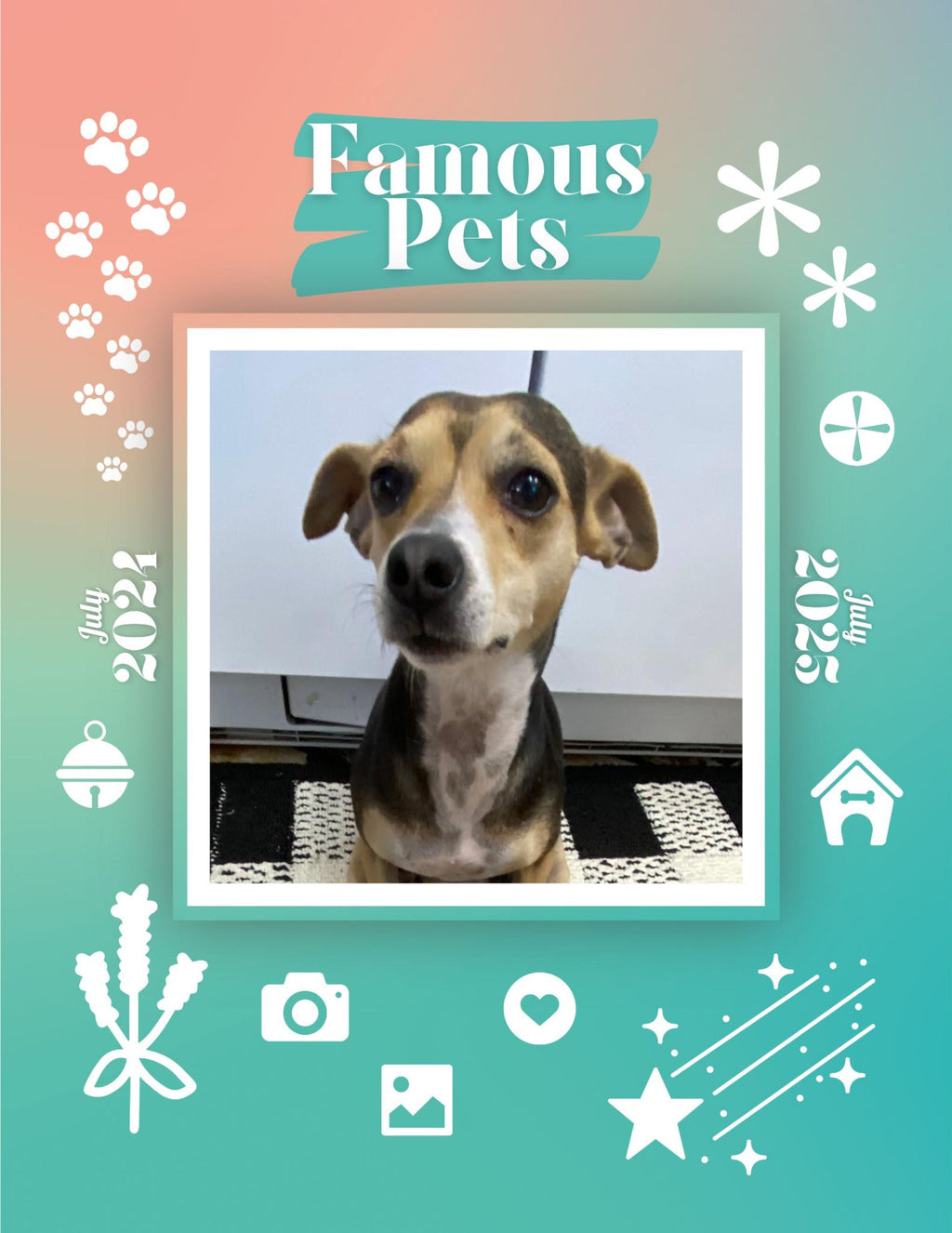 Famous Pets: July 2024-July 2025 Wall Calendar (Pre-Order)
