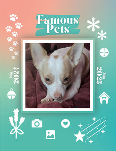 Famous Pets: July 2024-July 2025 Wall Calendar (Pre-Order)