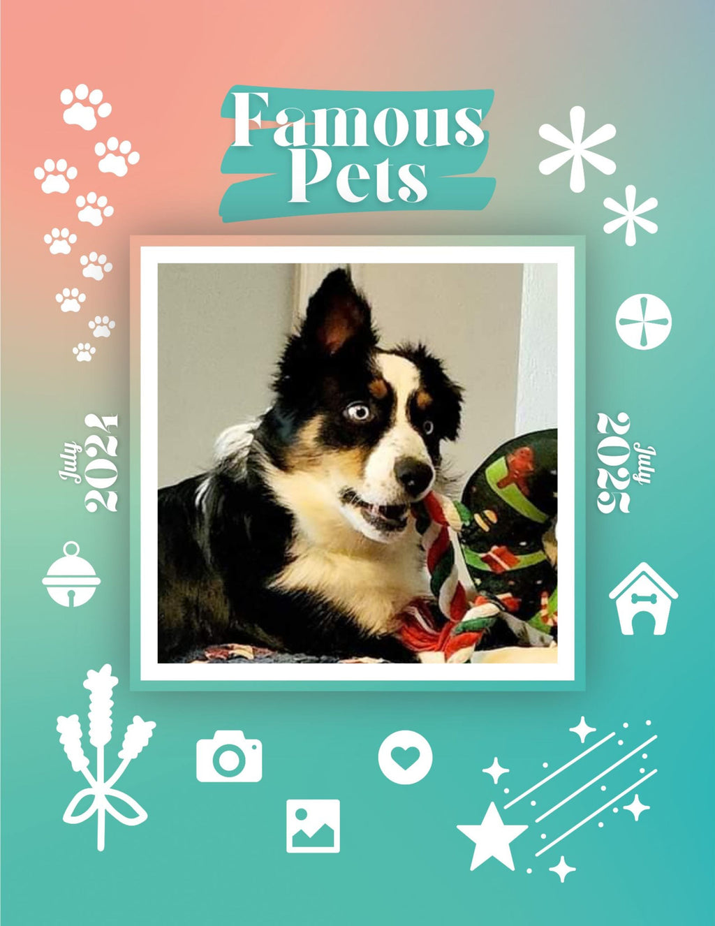 Famous Pets: July 2024-July 2025 Wall Calendar (Pre-Order)