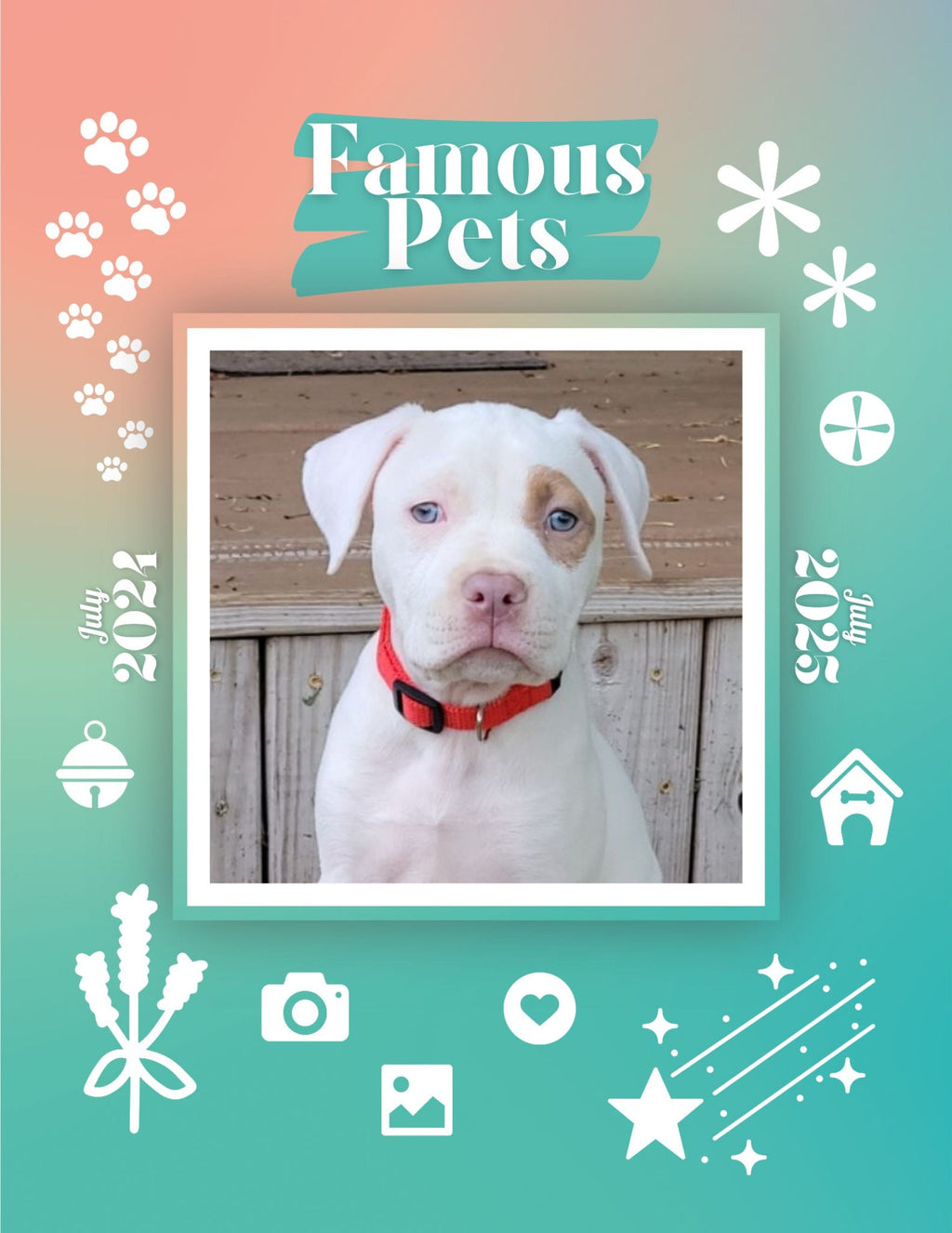 Famous Pets: July 2024-July 2025 Wall Calendar (Pre-Order)