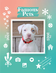Famous Pets: July 2024-July 2025 Wall Calendar (Pre-Order)