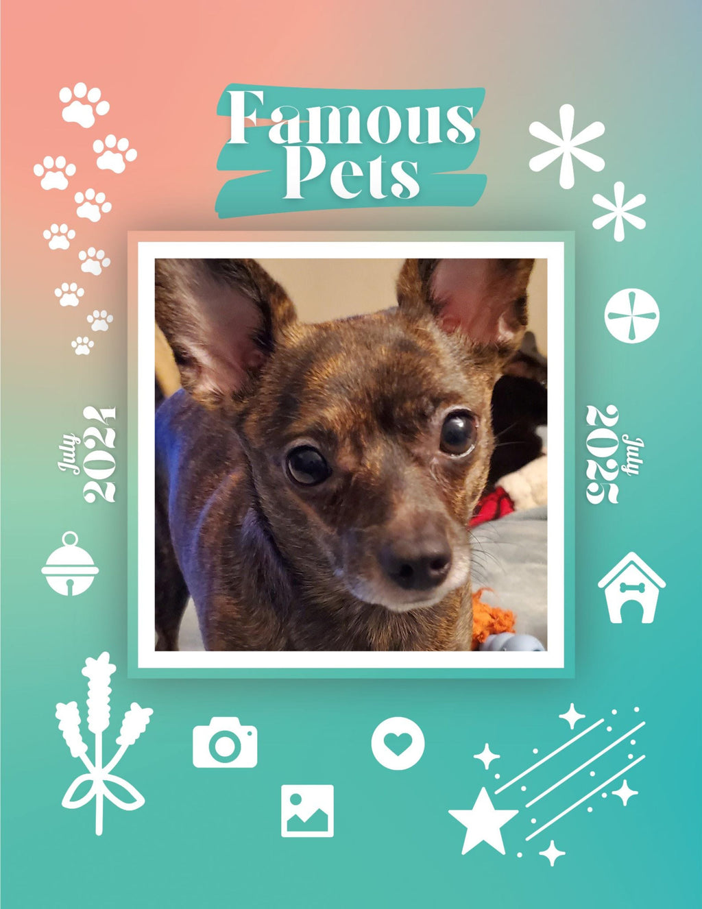 Famous Pets: July 2024-July 2025 Wall Calendar (Pre-Order)