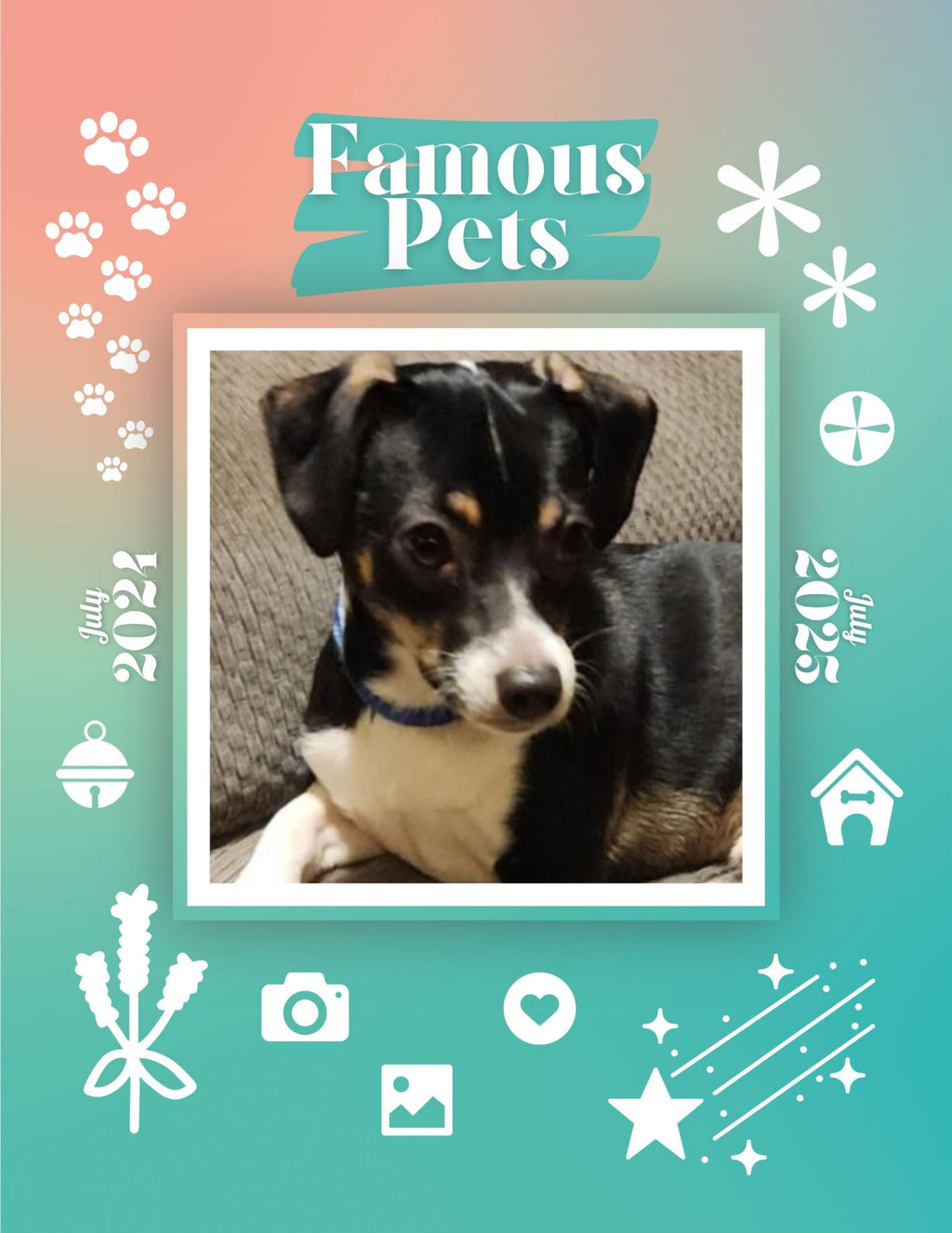 Famous Pets: July 2024-July 2025 Wall Calendar (Pre-Order)
