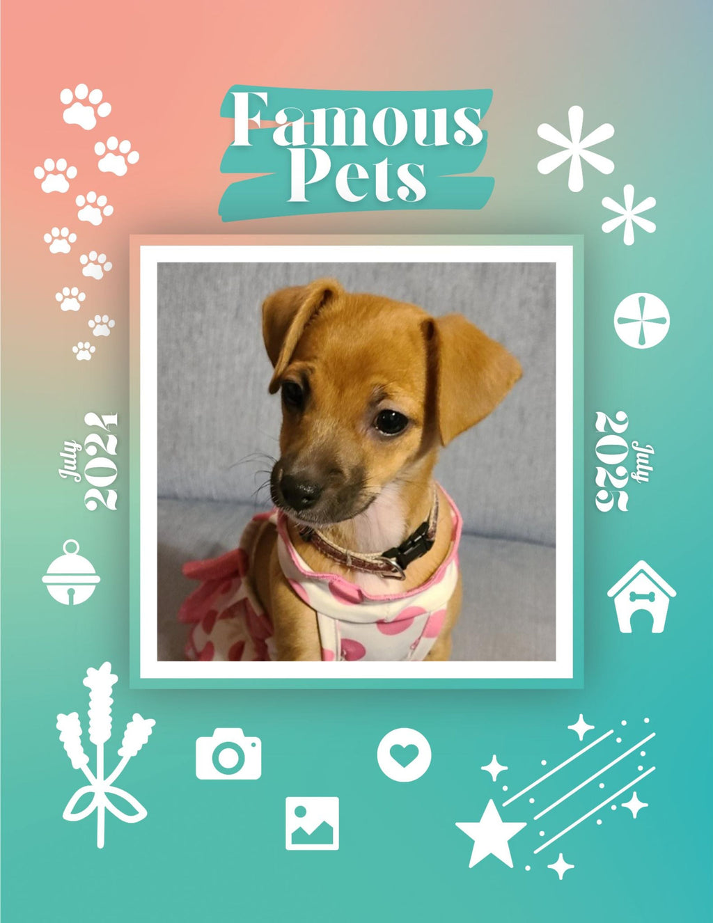 Famous Pets: July 2024-July 2025 Wall Calendar (Pre-Order)