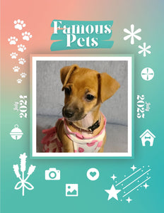 Famous Pets: July 2024-July 2025 Wall Calendar (Pre-Order)