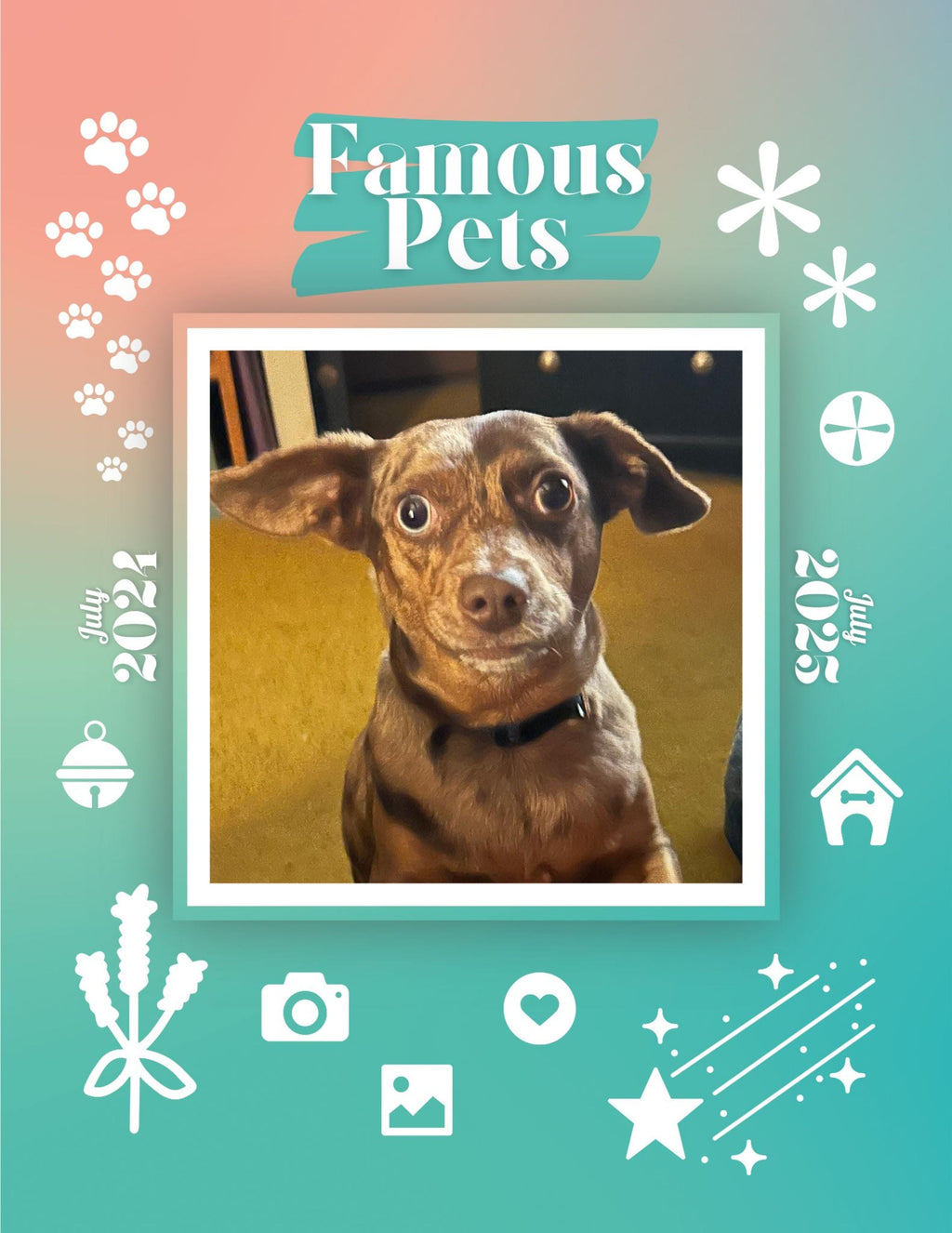 Famous Pets: July 2024-July 2025 Wall Calendar (Pre-Order)