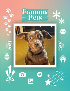 Famous Pets: July 2024-July 2025 Wall Calendar (Pre-Order)