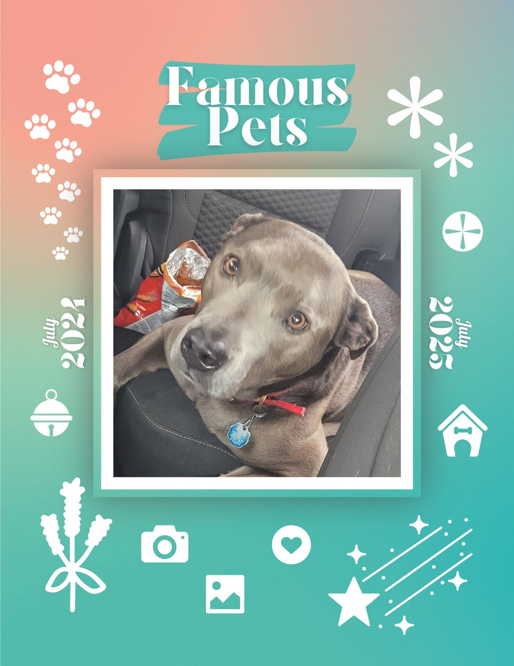 Famous Pets: July 2024-July 2025 Wall Calendar (Pre-Order)