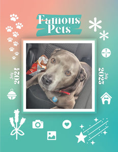 Famous Pets: July 2024-July 2025 Wall Calendar (Pre-Order)
