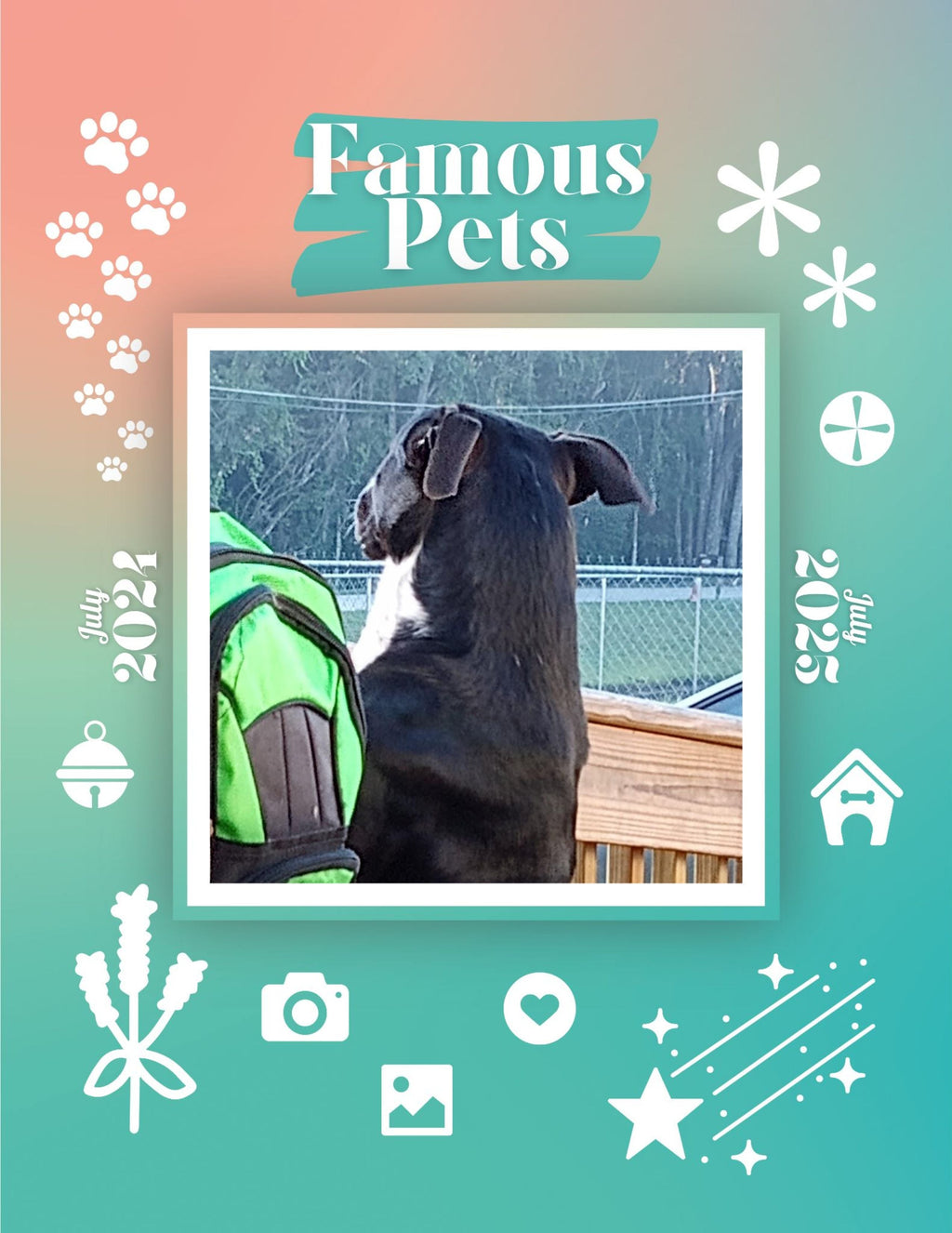 Famous Pets: July 2024-July 2025 Wall Calendar (Pre-Order)