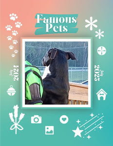 Famous Pets: July 2024-July 2025 Wall Calendar (Pre-Order)