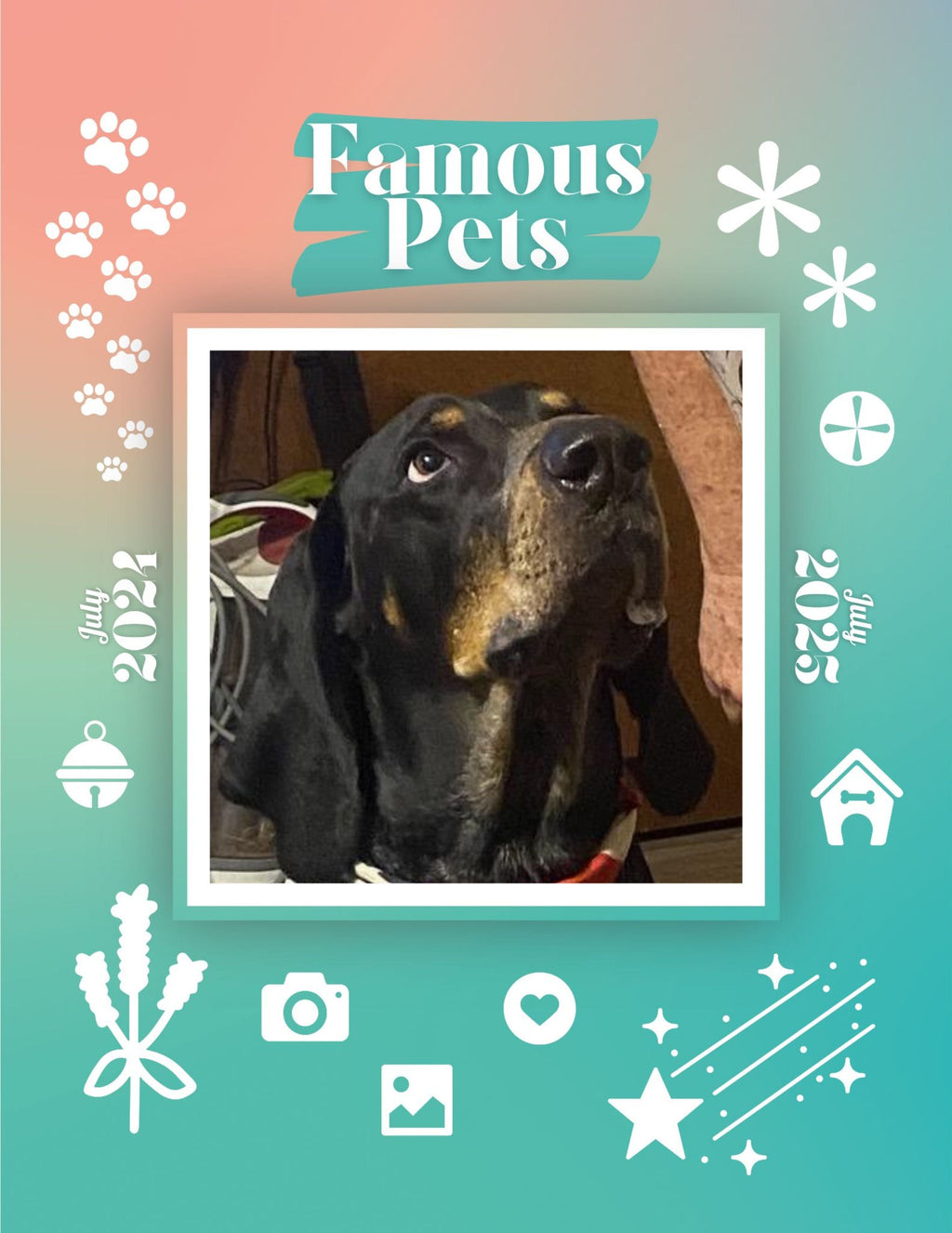 Famous Pets: July 2024-July 2025 Wall Calendar (Pre-Order)