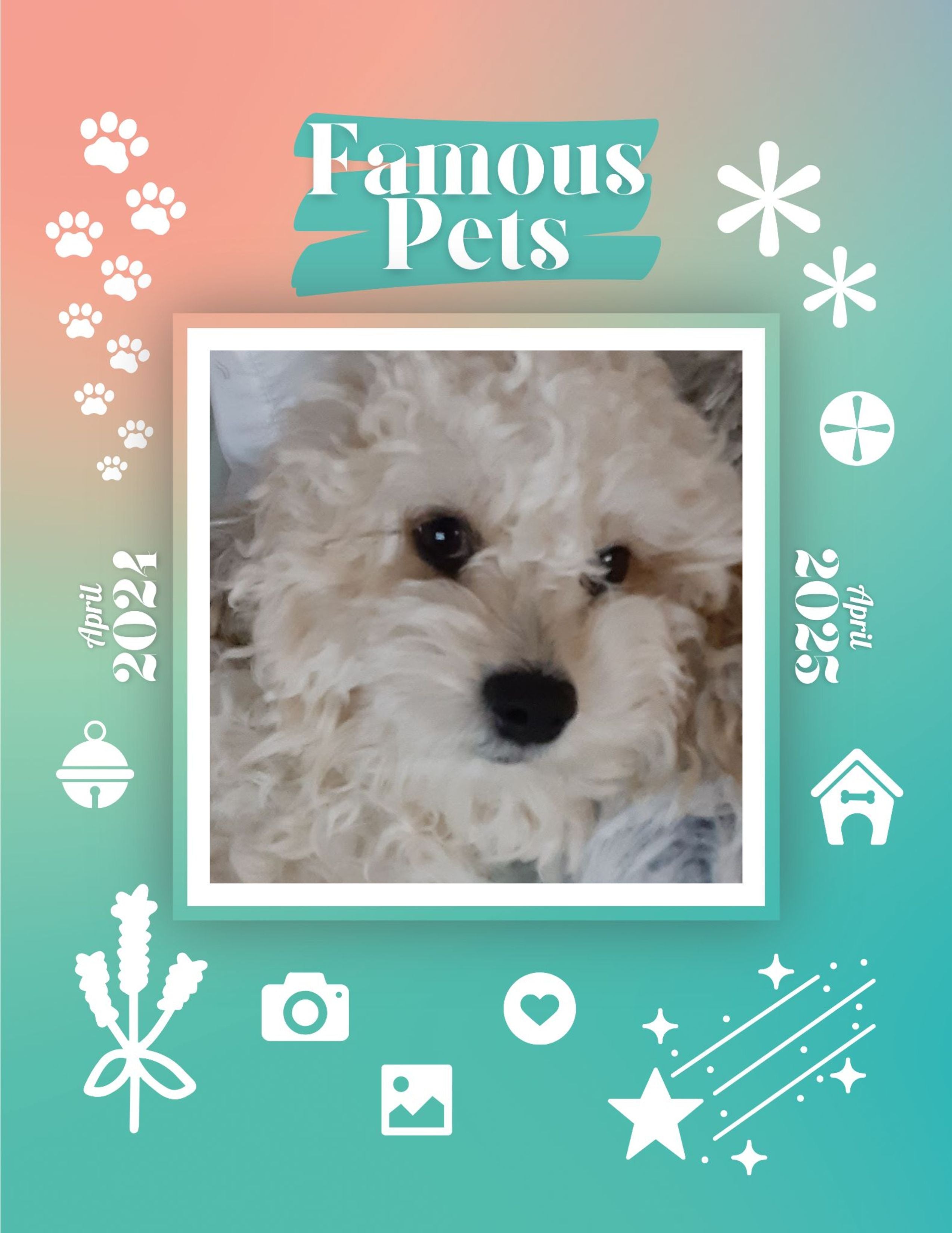 Famous Pets: April 2024-April 2025 Wall Calendar (Pre-Order)