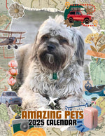 Amazing Pets: 2025 Wall Calendar (Pre-Order)