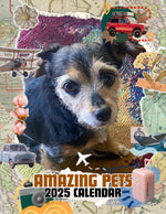 Amazing Pets: 2025 Wall Calendar (Pre-Order)