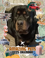 Amazing Pets: 2025 Wall Calendar (Pre-Order)