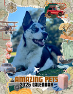 Amazing Pets: 2025 Wall Calendar (Pre-Order)