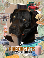 Amazing Pets: 2025 Wall Calendar (Pre-Order)