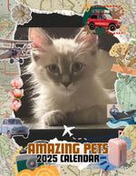 Amazing Pets: 2025 Wall Calendar (Pre-Order)