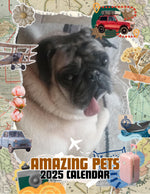 Amazing Pets: 2025 Wall Calendar (Pre-Order)