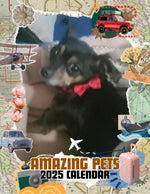 Amazing Pets: 2025 Wall Calendar (Pre-Order)
